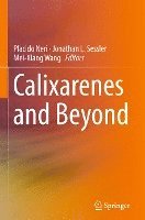 Calixarenes and Beyond