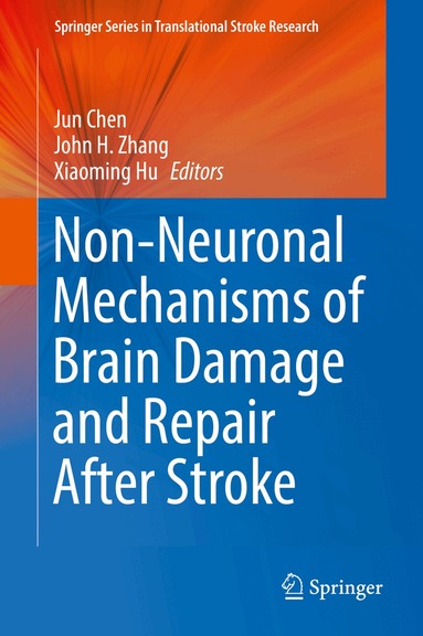 Jun Chen, John H. Zhang, Xiaoming Hu - Non-Neuronal Mechanisms of Brain Damage and Repair After Stroke, Inbunden