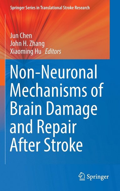 bokomslag Non-Neuronal Mechanisms of Brain Damage and Repair After Stroke
