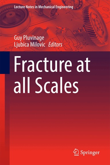 Guy Pluvinage, Ljubica Milovic - Fracture at all Scales, Inbunden