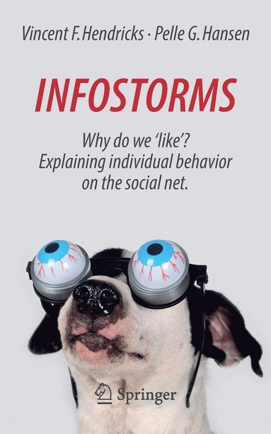 bokomslag Infostorms