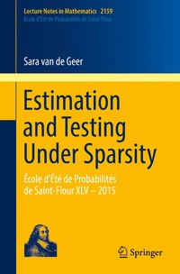 bokomslag Estimation and Testing Under Sparsity