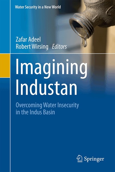 Zafar Adeel, Robert G. Wirsing - Imagining Industan, Inbunden