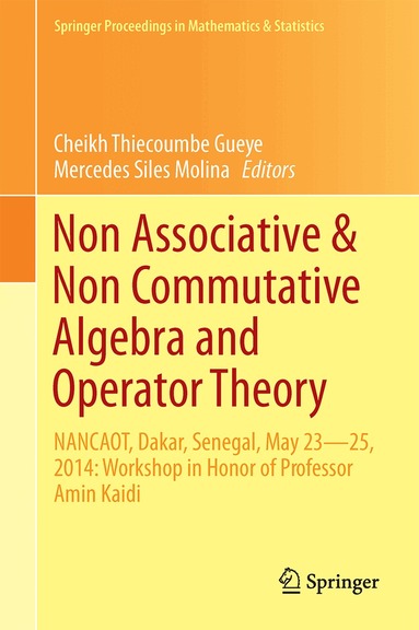 Cheikh Thiécoumbe Gueye, Mercedes Siles Molina - Non-Associative and Non-Commutative Algebra and Operator Theory, Inbunden