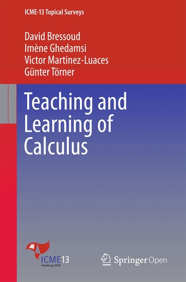 David Bressoud, Imène Ghedamsi, Victor Martinez-Luaces, Günter Törner - Teaching and Learning of Calculus, Häftad
