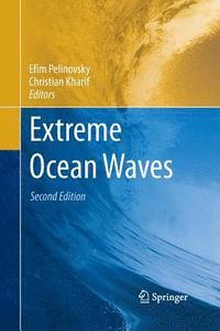 bokomslag Extreme Ocean Waves