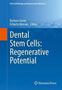 bokomslag Dental Stem Cells: Regenerative Potential