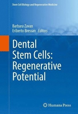 Dental Stem Cells: Regenerative Potential 1