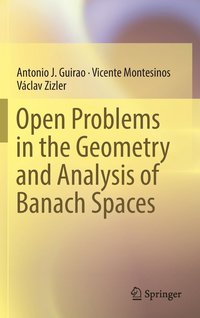 bokomslag Open Problems in the Geometry and Analysis of Banach Spaces