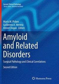 bokomslag Amyloid and Related Disorders