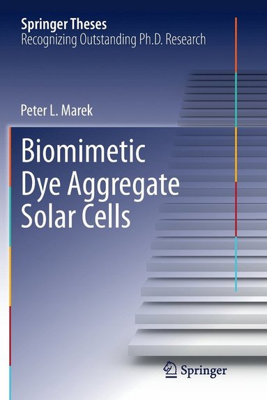 bokomslag Biomimetic Dye Aggregate Solar Cells