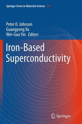 bokomslag Iron-Based Superconductivity