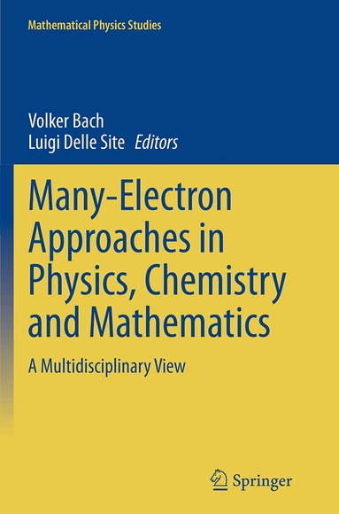Volker Bach, Luigi Delle Site - Many-Electron Approaches in Physics, Chemistry and Mathematics, Häftad