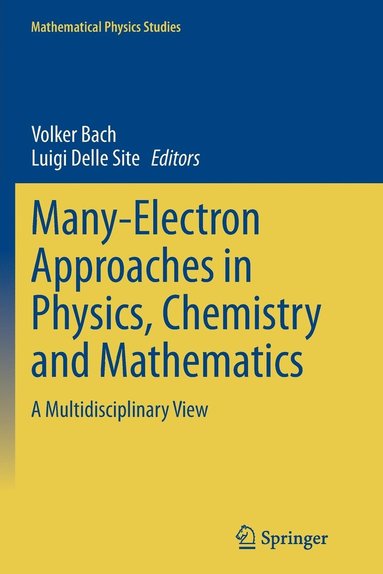 bokomslag Many-Electron Approaches in Physics, Chemistry and Mathematics