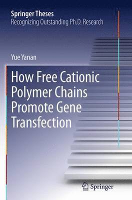 How Free Cationic Polymer Chains Promote Gene Transfection 1