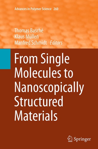 Thomas Basché, Klaus Müllen, Manfred Schmidt - From Single Molecules to Nanoscopically Structured Materials, Häftad