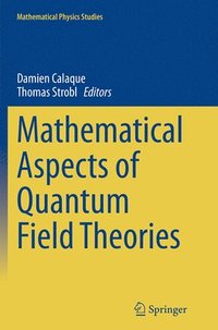 bokomslag Mathematical Aspects of Quantum Field Theories