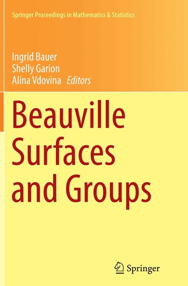 Ingrid Bauer, Shelly Garion, Alina Vdovina - Beauville Surfaces and Groups, Häftad