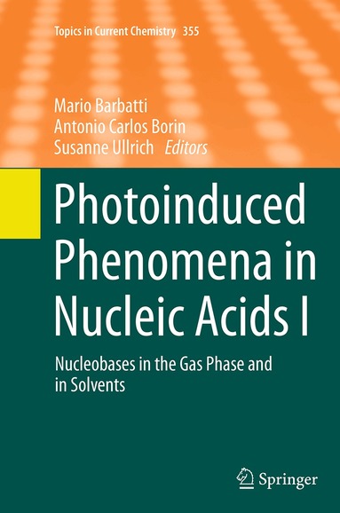 Mario Barbatti, Antonio Carlos Borin, Susanne Ullrich - Photoinduced Phenomena in Nucleic Acids I, Häftad