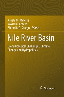 bokomslag Nile River Basin