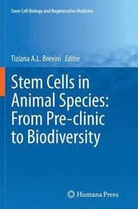 bokomslag Stem Cells in Animal Species: From Pre-clinic to Biodiversity