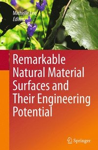 bokomslag Remarkable Natural Material Surfaces and Their Engineering Potential