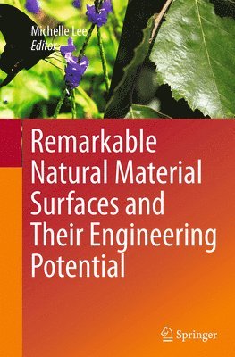 bokomslag Remarkable Natural Material Surfaces and Their Engineering Potential