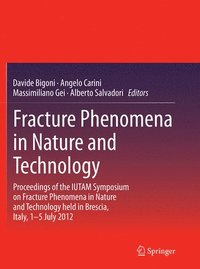 bokomslag Fracture Phenomena in Nature and Technology