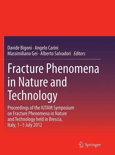 Davide Bigoni, Angelo Carini, Massimiliano Gei, Alberto Salvadori - Fracture Phenomena in Nature and Technology, Häftad
