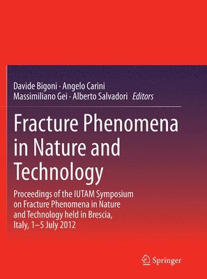 Fracture Phenomena in Nature and Technology 1