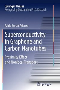 bokomslag Superconductivity in Graphene and Carbon Nanotubes