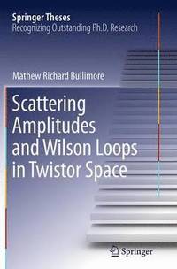 bokomslag Scattering Amplitudes and Wilson Loops in Twistor Space