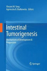 bokomslag Intestinal Tumorigenesis