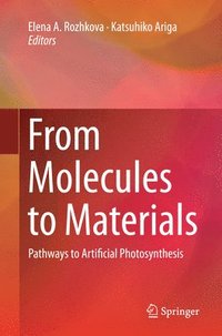 bokomslag From Molecules to Materials
