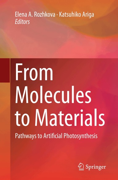 Elena A. Rozhkova, Katsuhiko Ariga - From Molecules to Materials, Häftad