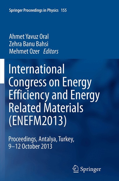 Ahmet Yavuz Oral, Zehra Banu Bahsi, Mehmet Ozer - International Congress on Energy Efficiency and Energy Related Materials (ENEFM2013), Häftad