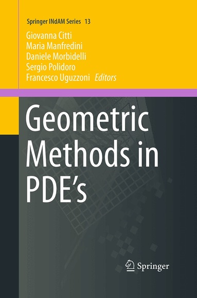 Giovanna Citti, Maria Manfredini, Daniele Morbidelli, Sergio Polidoro, Francesco Uguzzoni - Geometric Methods in PDE’s, Häftad