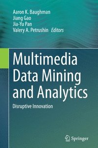 bokomslag Multimedia Data Mining and Analytics