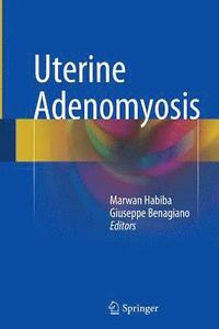 bokomslag Uterine Adenomyosis