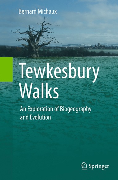 bokomslag Tewkesbury Walks