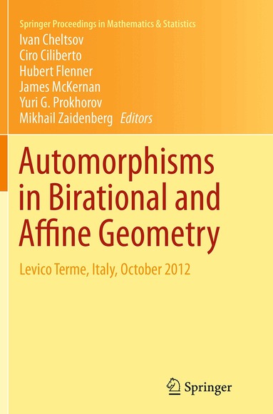Ivan Cheltsov, Ciro Ciliberto, Hubert Flenner, James McKernan, Yuri G. Prokhorov, Mikhail Zaidenberg - Automorphisms in Birational and Affine Geometry, Häftad