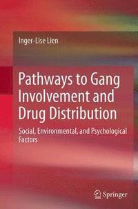 bokomslag Pathways to Gang Involvement and Drug Distribution