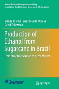 bokomslag Production of Ethanol from Sugarcane in Brazil