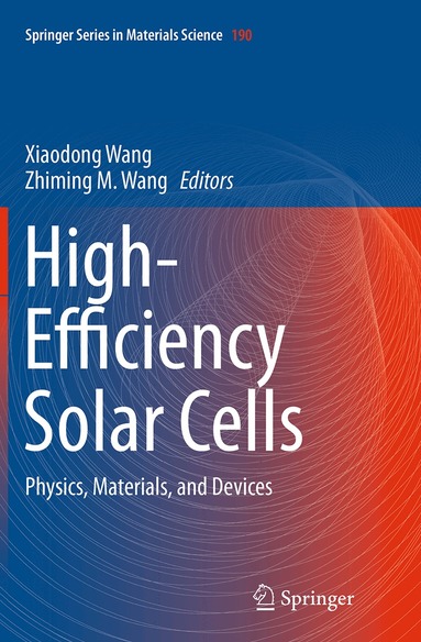 Xiaodong Wang, Zhiming M. Wang - High-Efficiency Solar Cells, Häftad
