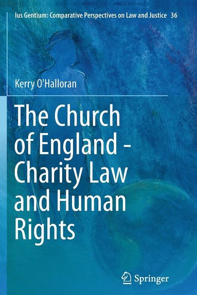 bokomslag The Church of England - Charity Law and Human Rights