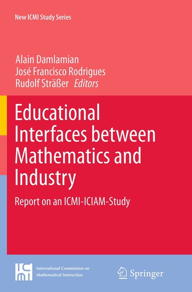 Alain Damlamian, José Francisco Rodrigues, Rudolf Sträßer - Educational Interfaces between Mathematics and Industry, Häftad
