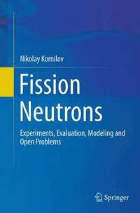 bokomslag Fission Neutrons