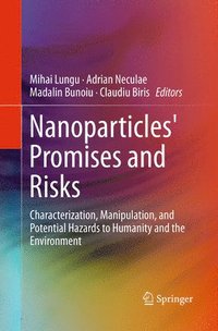bokomslag Nanoparticles' Promises and Risks