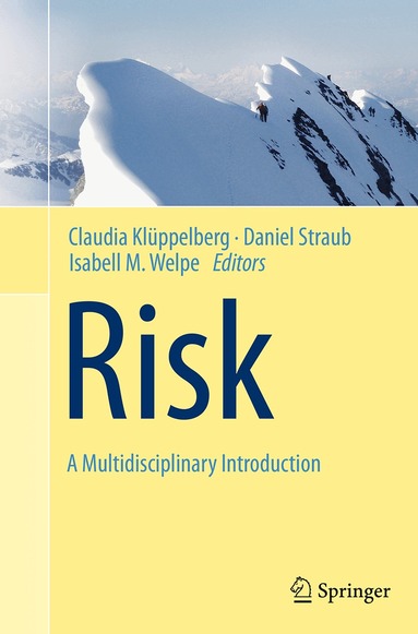 Claudia Klüppelberg, Daniel Straub, Isabell M. Welpe - Risk - A Multidisciplinary Introduction, Häftad