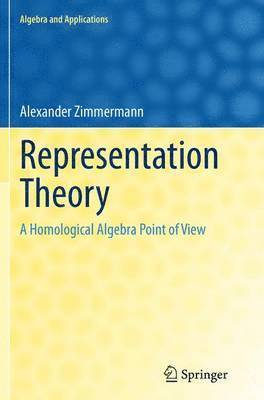 bokomslag Representation Theory